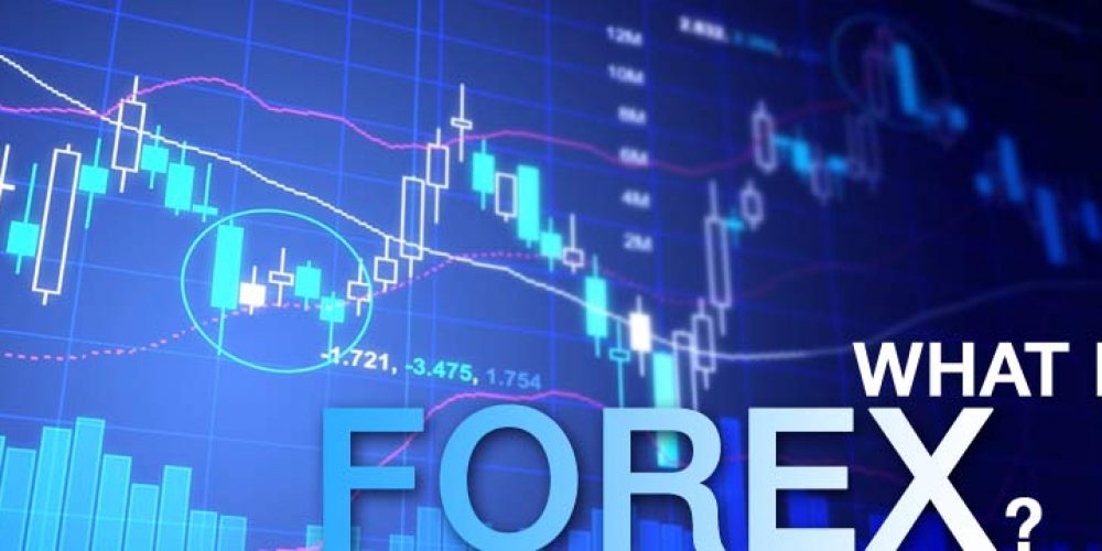 Forexking